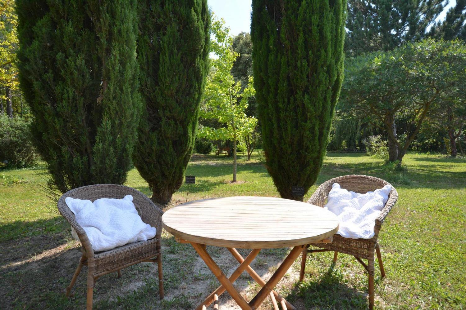 Mas des Princes - photo 2