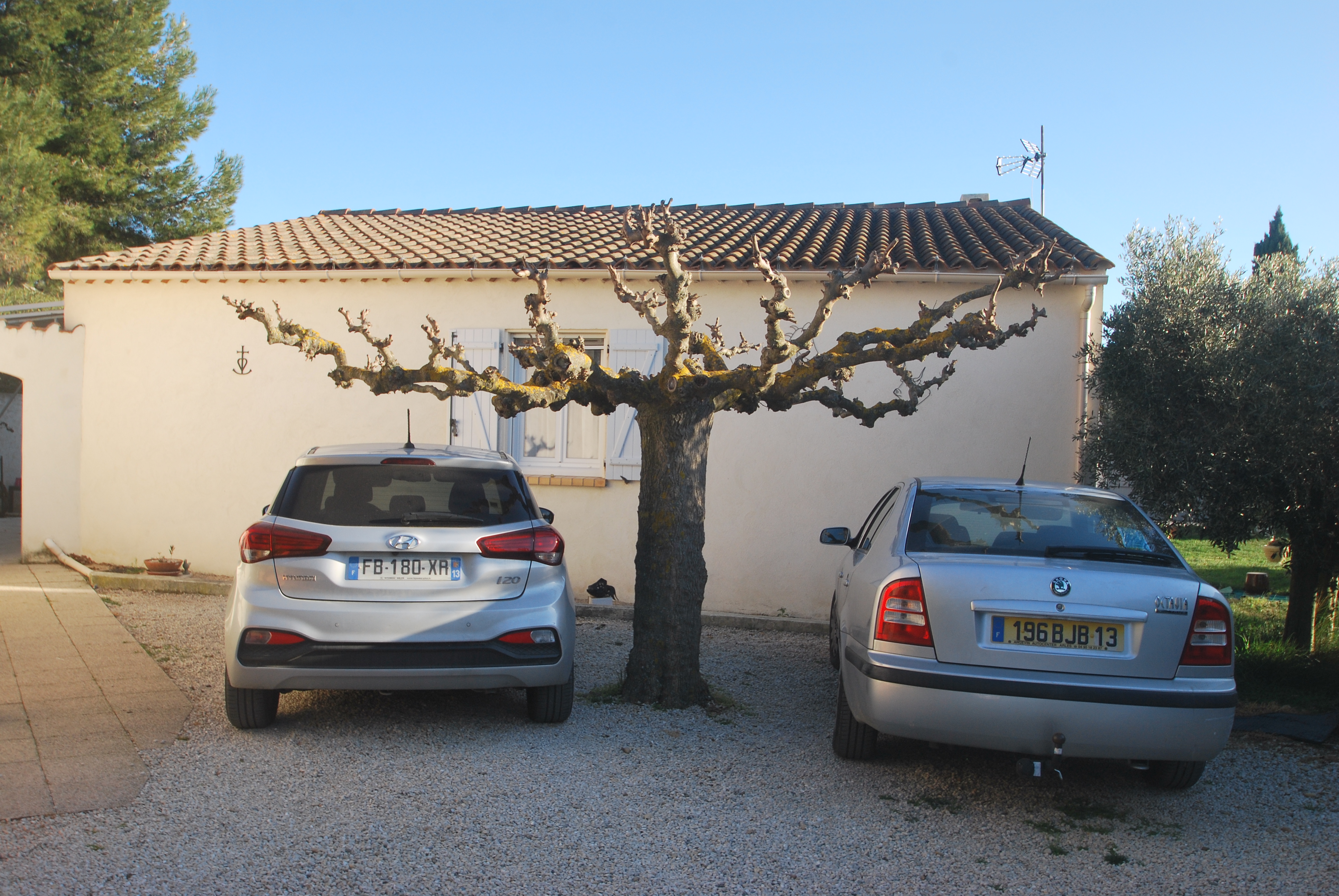 Les Olivades, Arles - photo 8