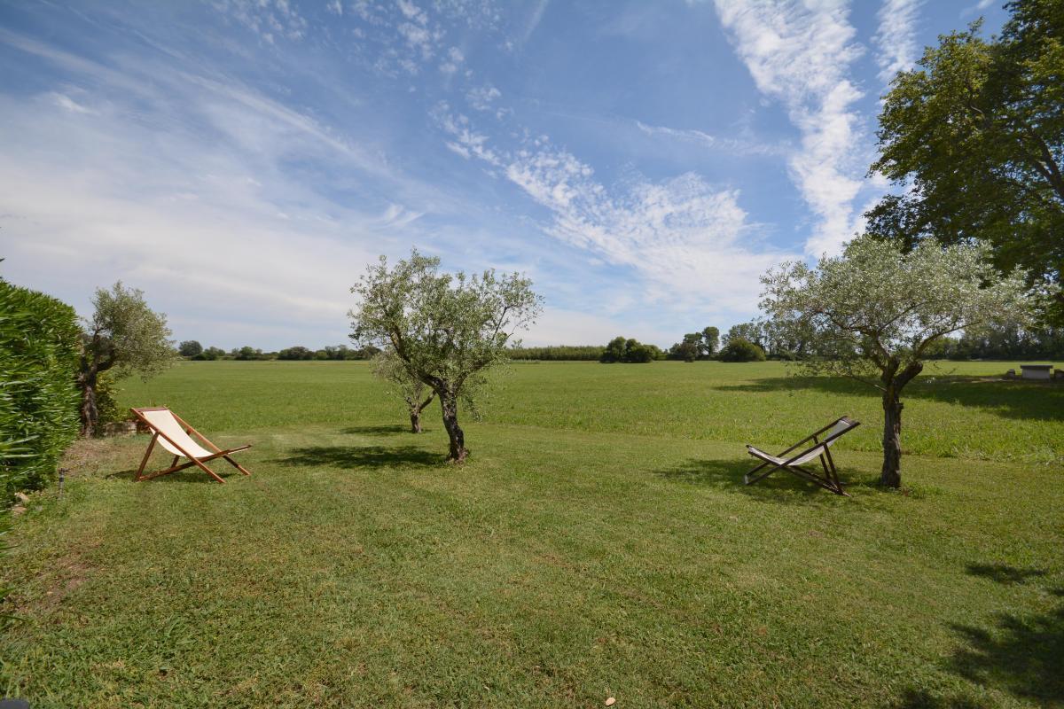 Le Tilleul, Saint-Martin-de-Crau - photo 15