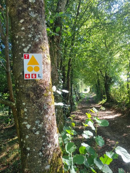 Les grandes terres de Marboz