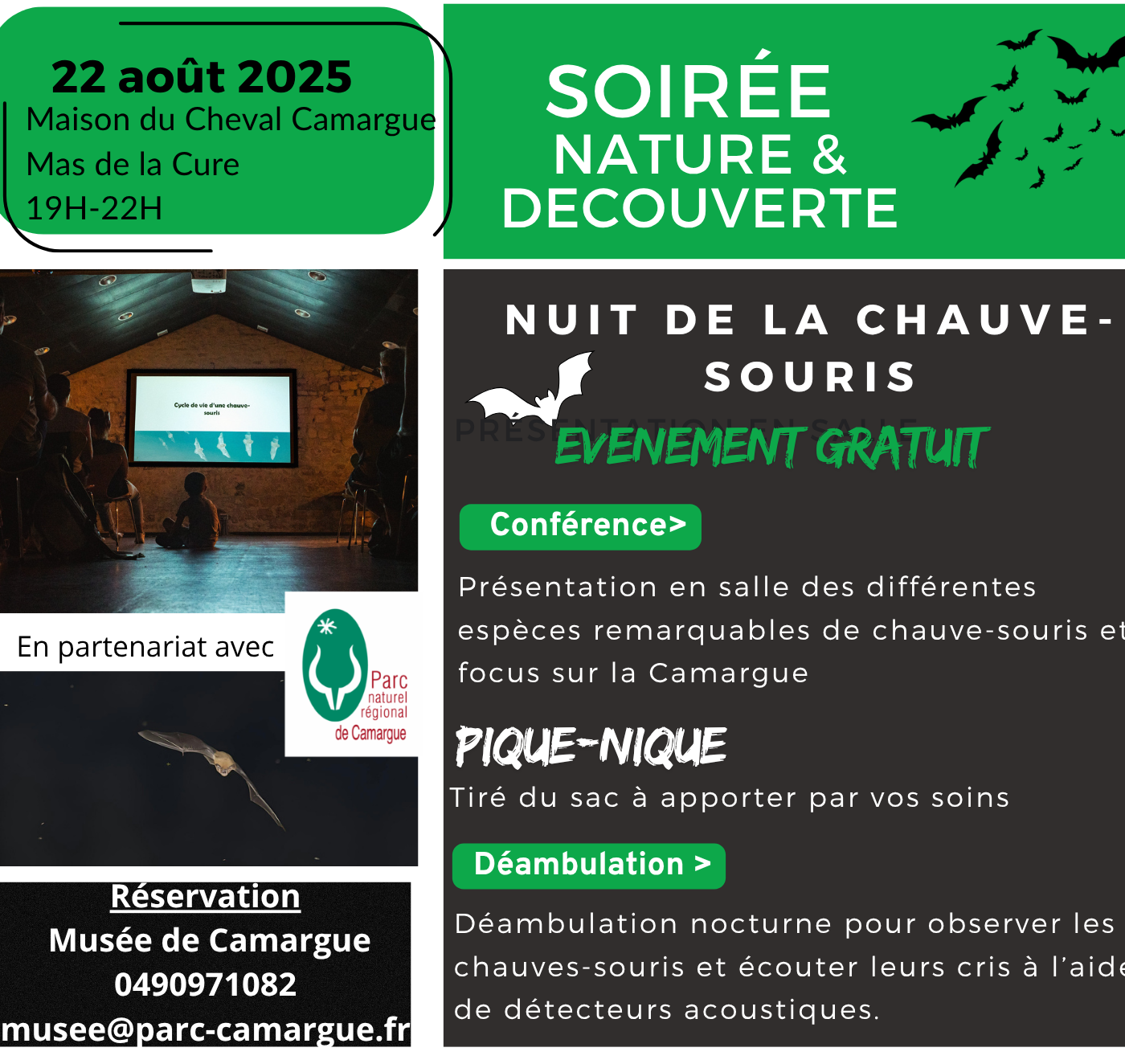 Nuit de la chauve-souris