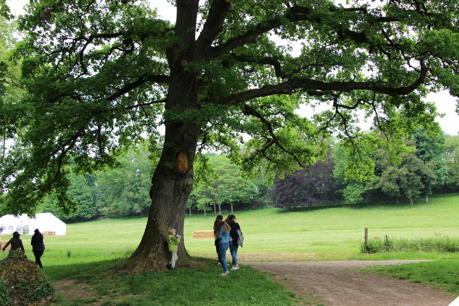 http://Le%20parc%20à%20l'envers%20!%20Balade%20sensorielle%20dans%20le%20parc%20de%20Cibeins
