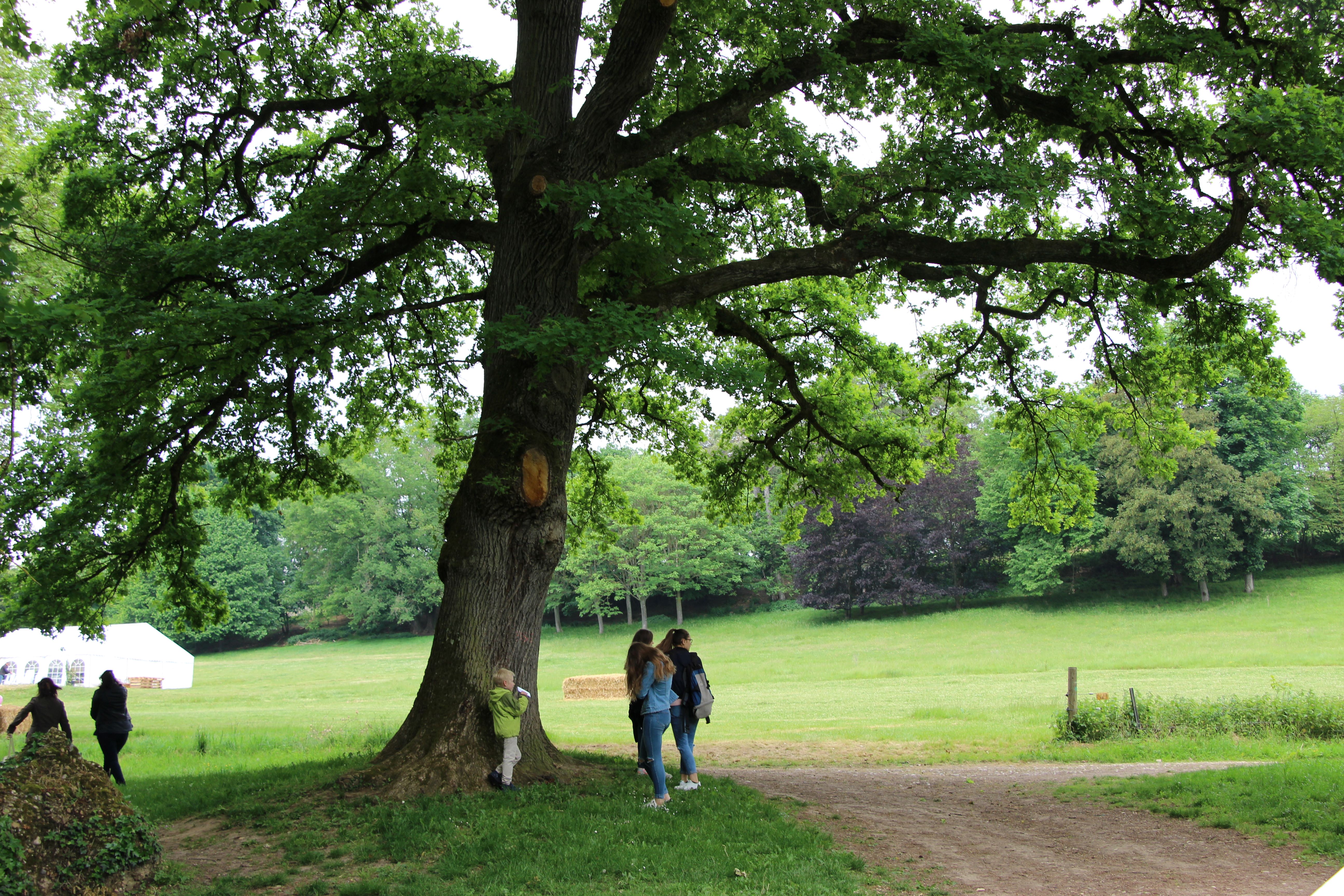 Le parc à l'envers ! Balade sensorielle dans le parc de Cibeins_Misérieux