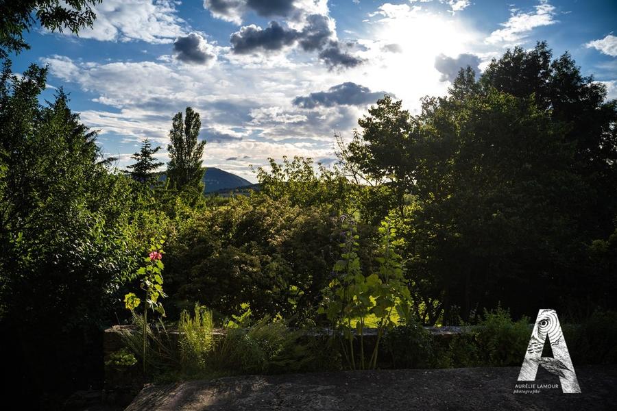 Vue sur les vergers depuis la terrasse
