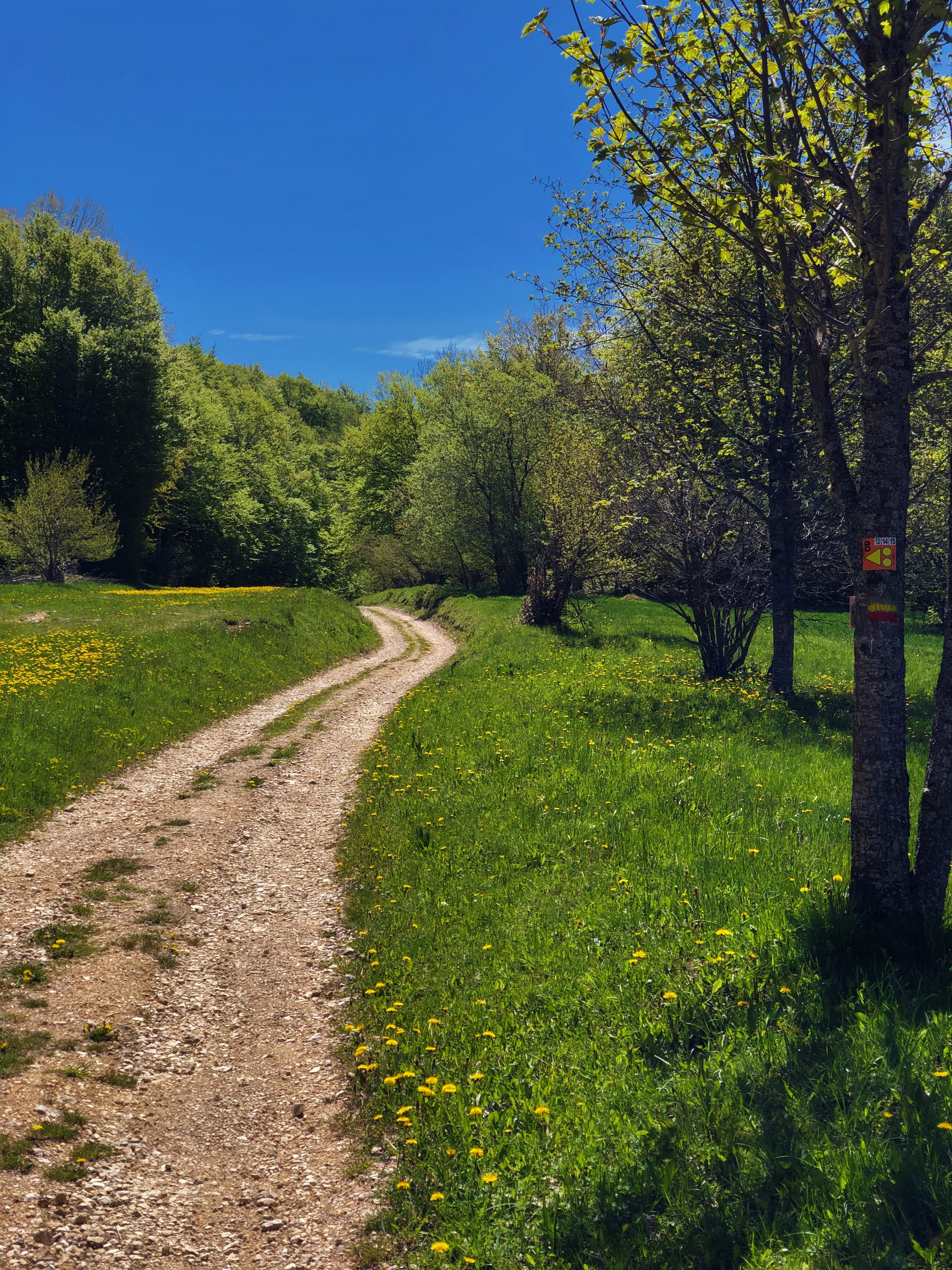 Parcours VTTAE 13 rouge - Le sud du Plateau de Retord - Espace FFC Ain Forestire