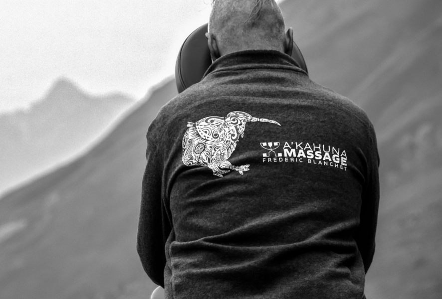 Image Photo ok APIDAE (53)