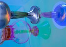 Visite de l'exposition : À travers son regards_Vienne