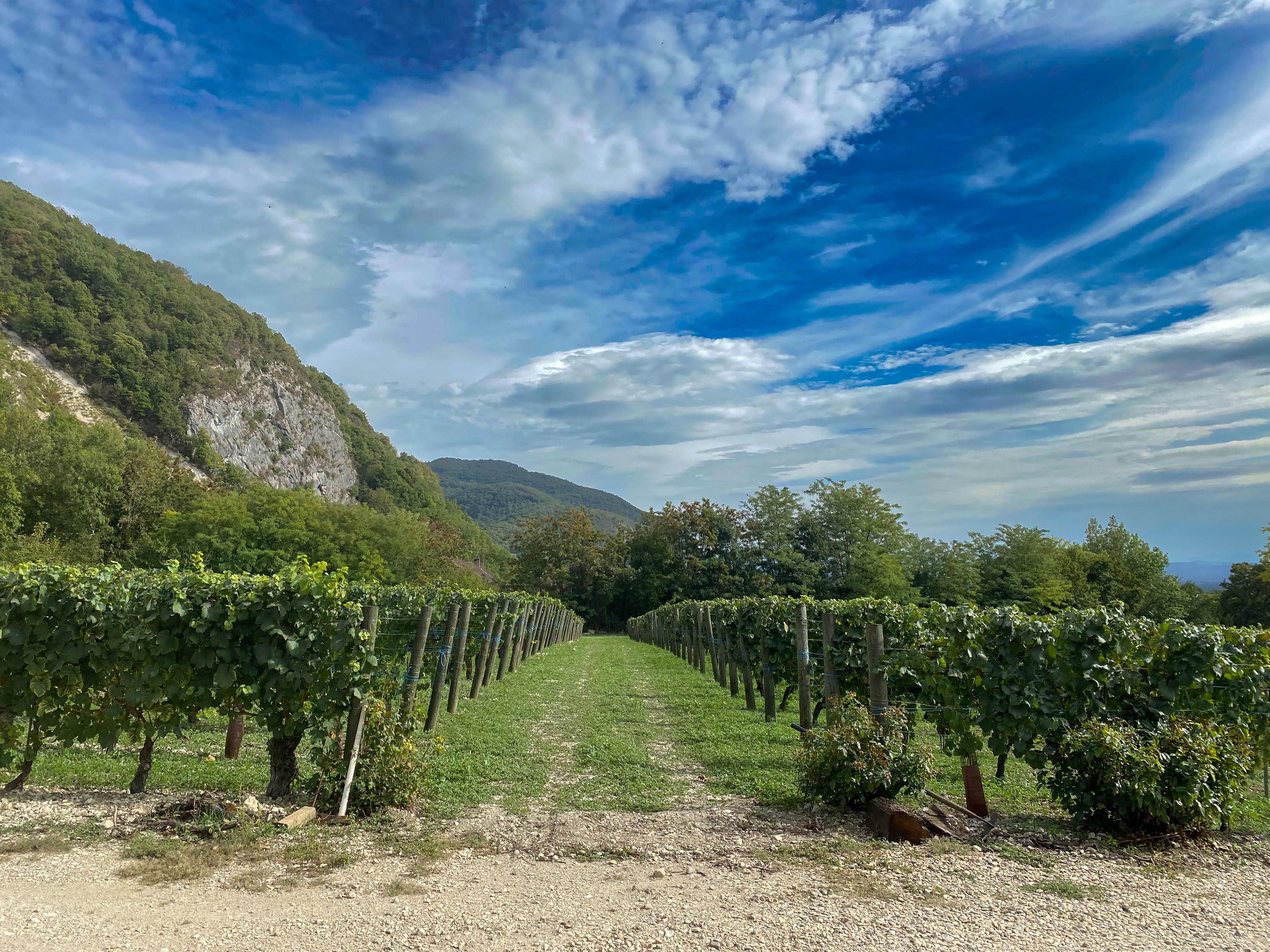 Les Pieds dans le Local® ! Visite d'exploitation Le Chateau de Vareppe