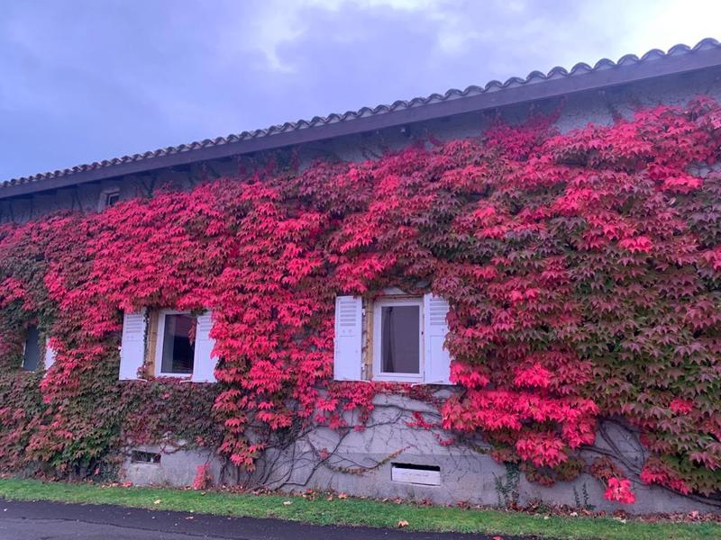 Le gîte de Buffetières