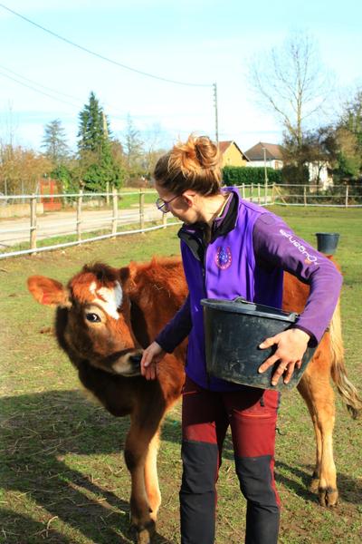 Visite de l'Arche de Julie