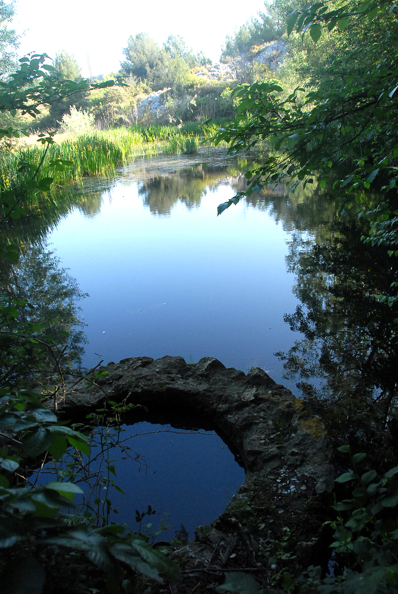 Sentier Botanique la Roselière, Sausset-les-Pins - photo 2