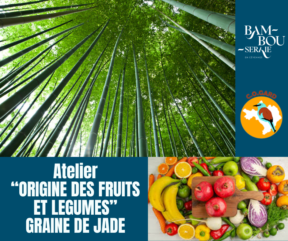 L’origine des fruits et légumes avec Graine de Jade_Générargues