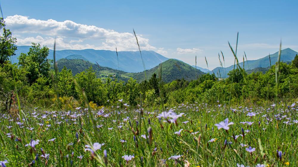 tour de la citadelle