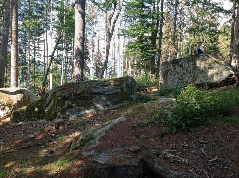 sentier pédestre : balade au Bois de Fessy
