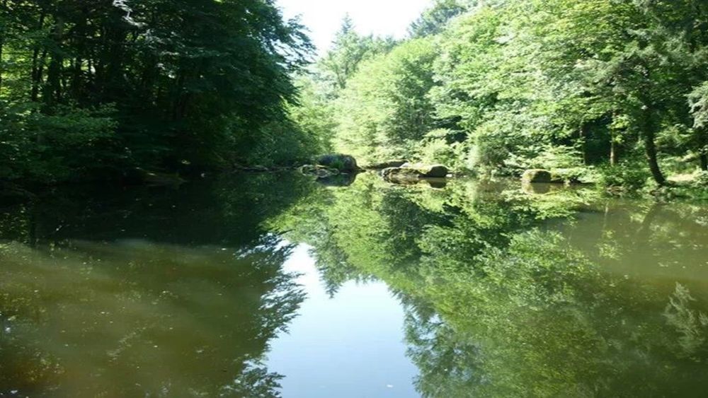 Lac de Retenue au Moulin de Record