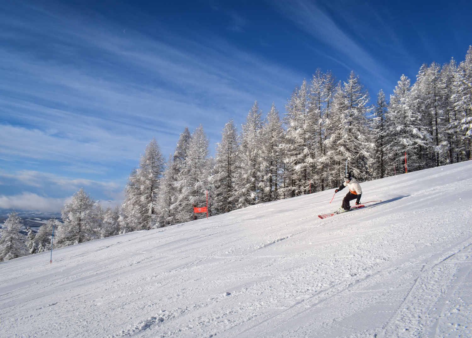 Cours de ski alpin avec l'ESF de Chaillol, vallée du Champsaur