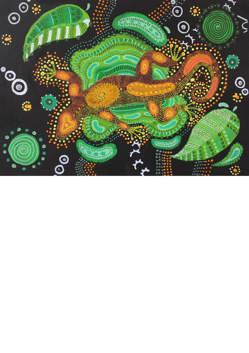 Exposition - Imagination Aborigène