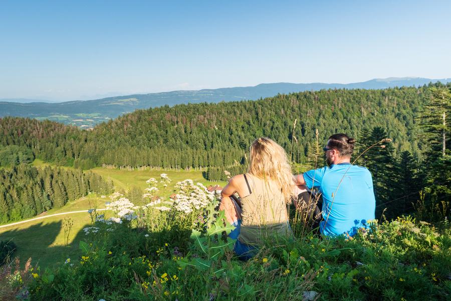 Paysages Plateau d'Hauteville