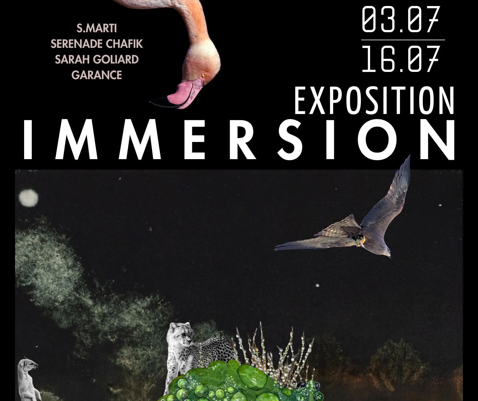 Immersion_Lasalle