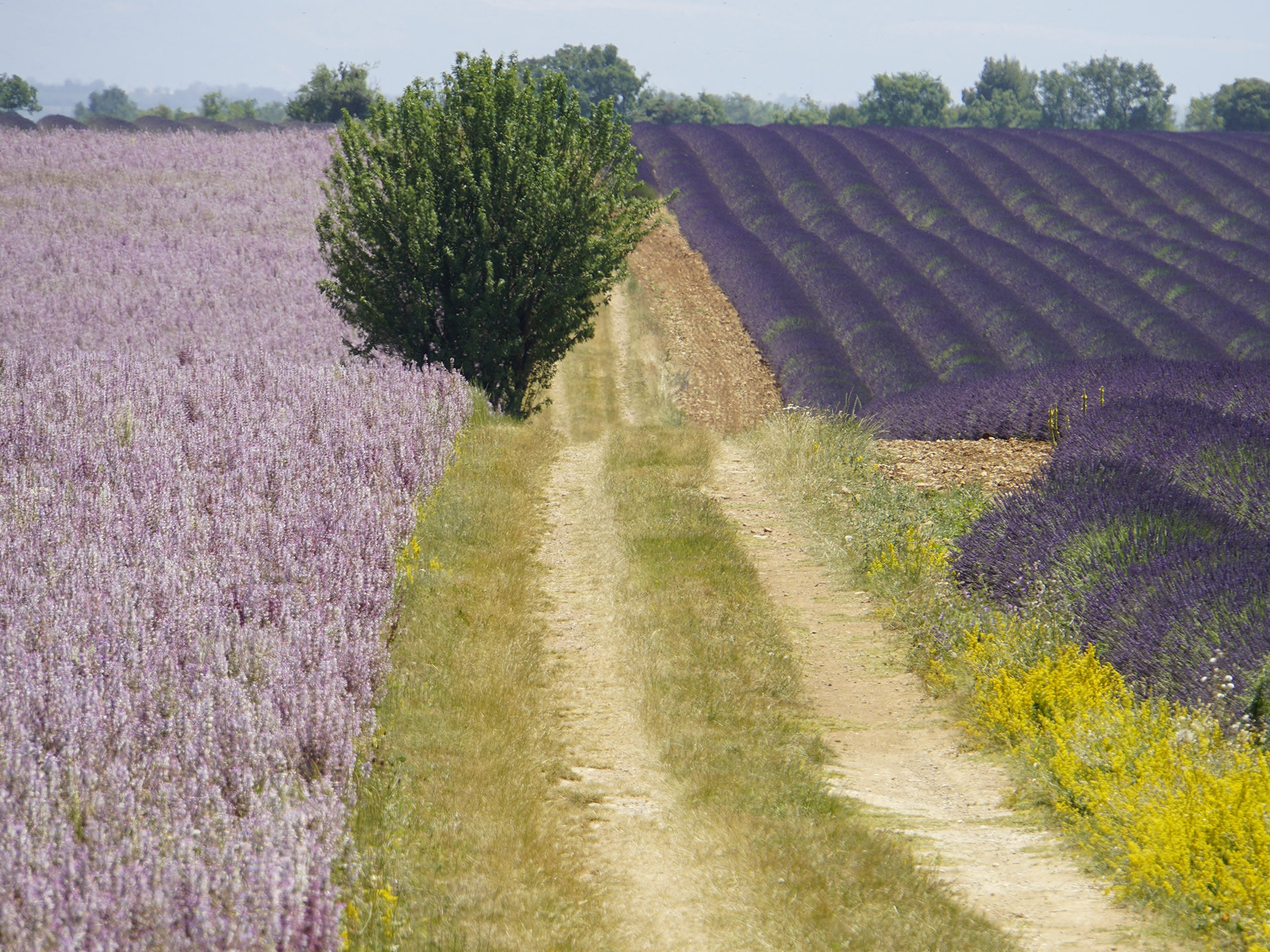 Provence Circuit - photo 3