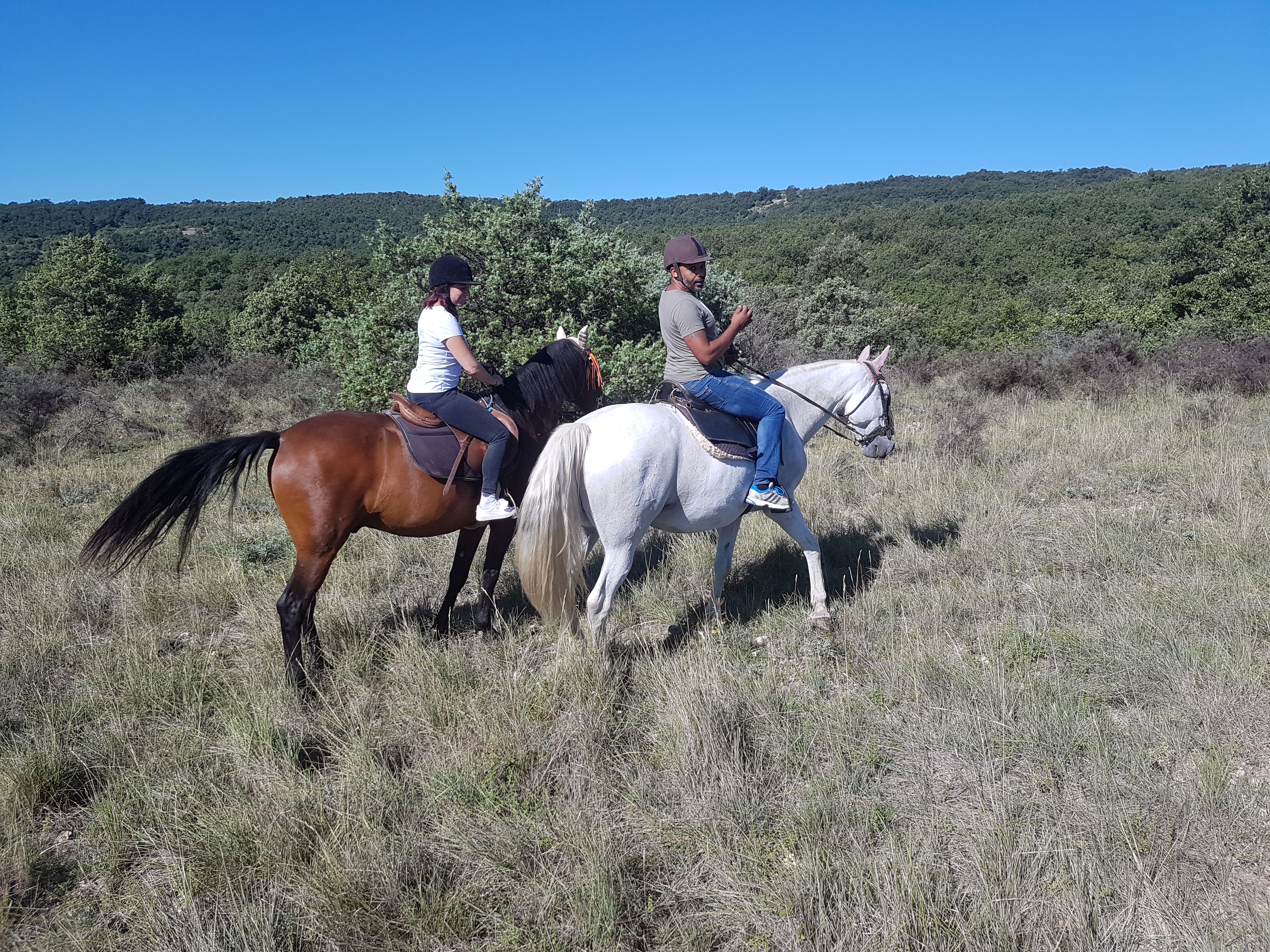 Balades à cheval et école d'équitation à la Ferme équestre Le Relais de Vazeille