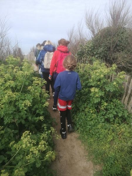 Balade nature en famille pour découvrir les plantes sauvages