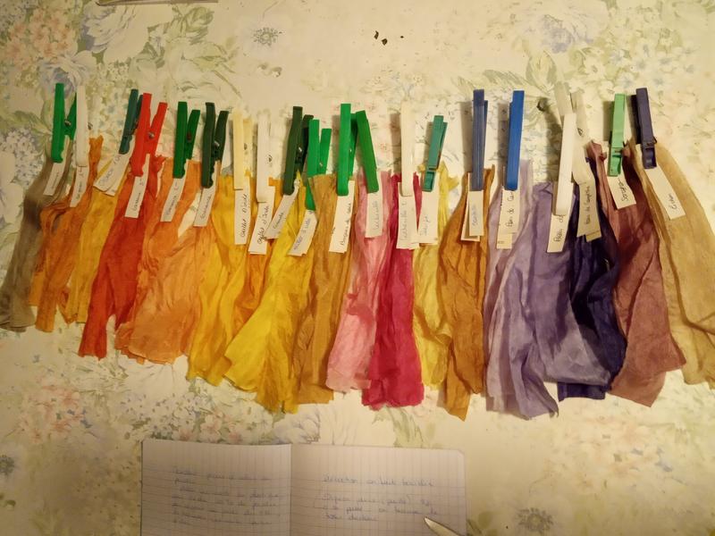 stage de teinture végétale 