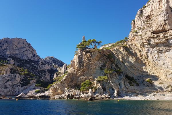 Croisière dans le Parc National des Calanques en journée - Quai d'honneur Mairie