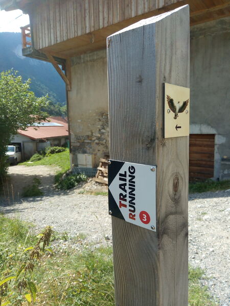 Circuit Trail Boucle de Nifflon