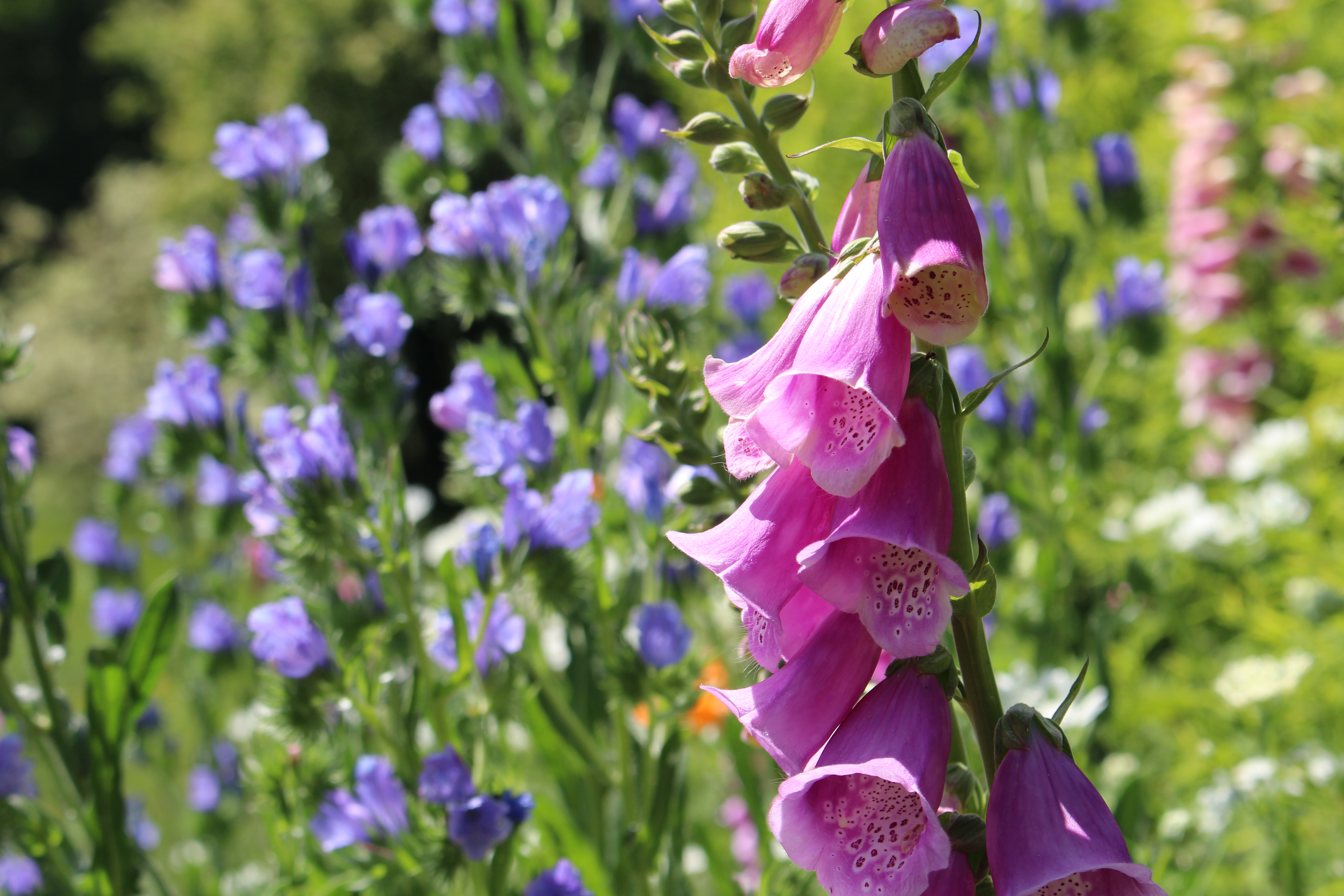 Les chemins de papier