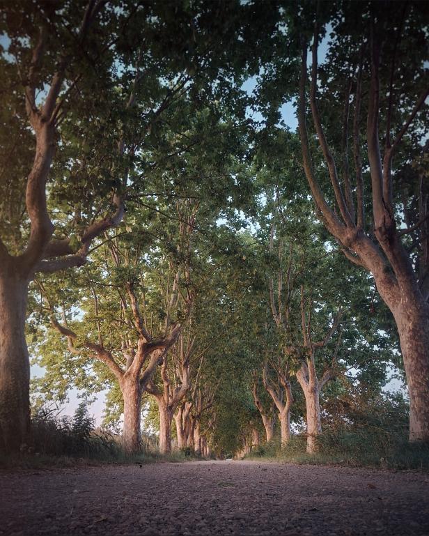 df783433e667599905e2