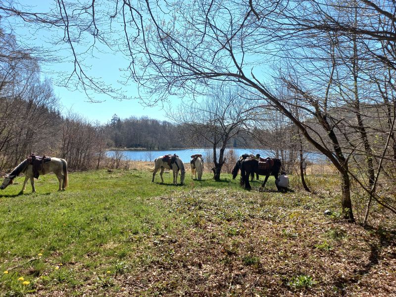 Circuit des caves et des fours du Bugey Sud