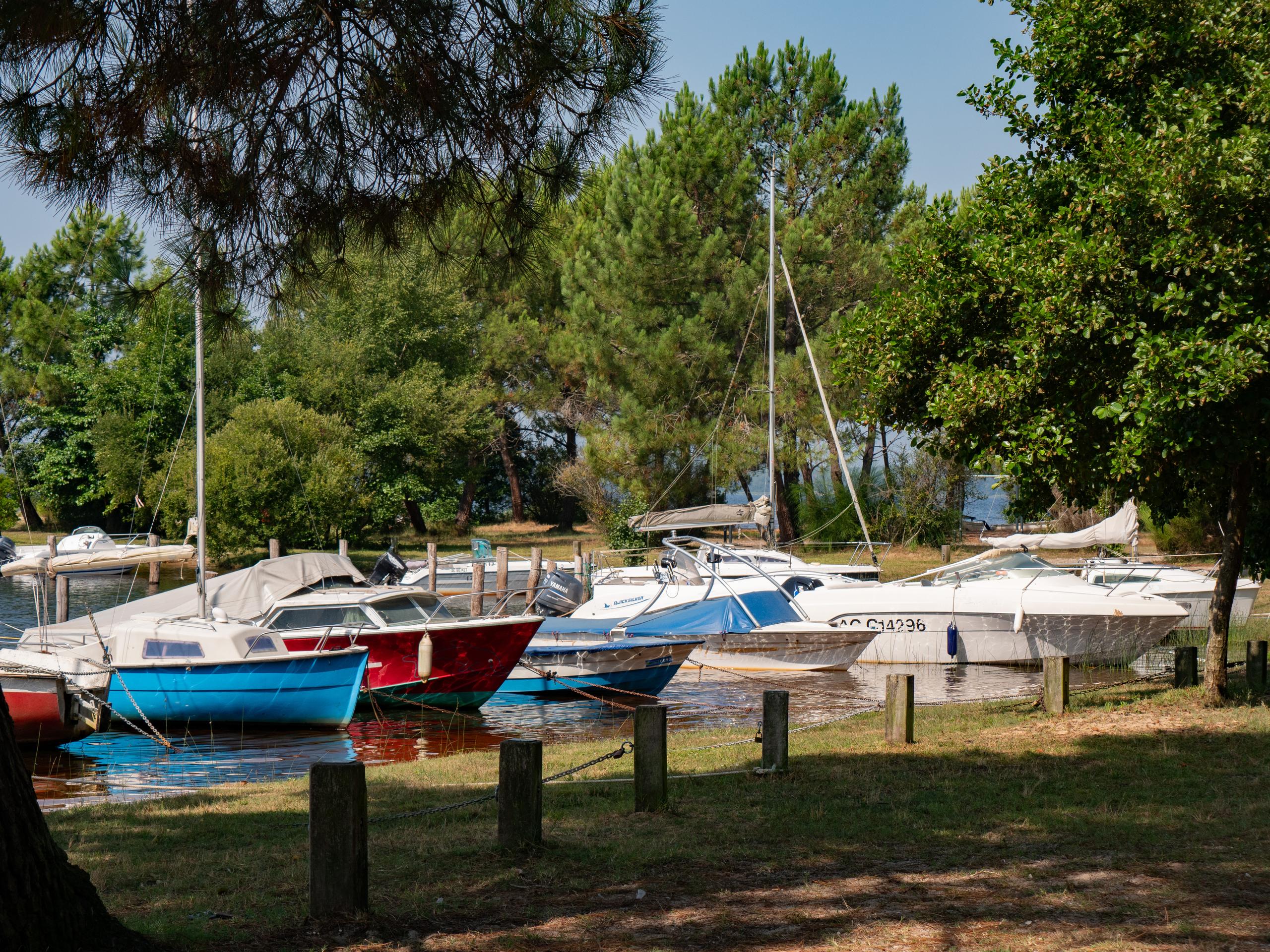 Aire de pique-nique de Lacanau Ville