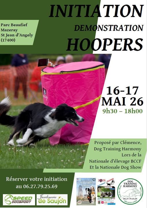 Démonstration de Hoopers