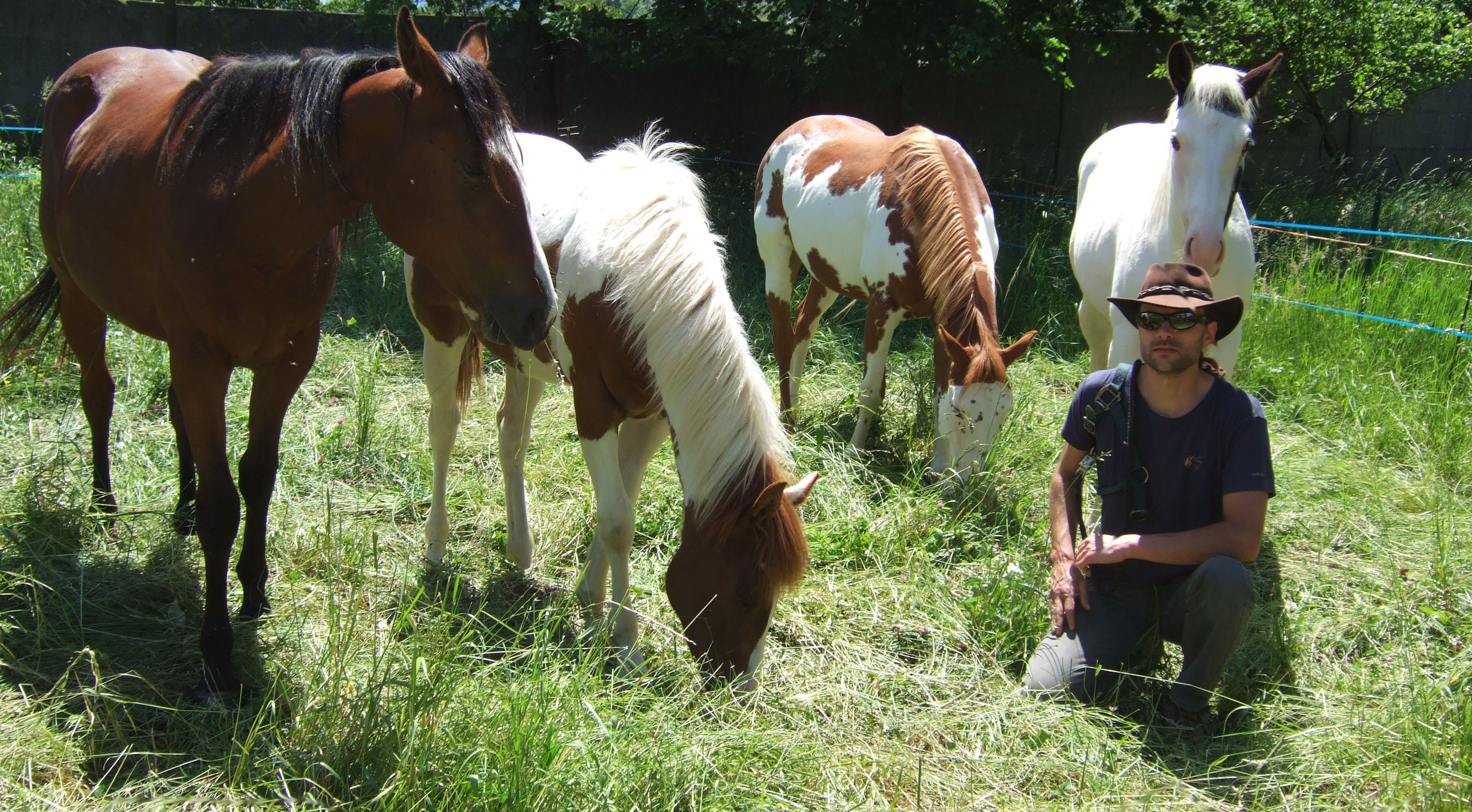 Domaine du Rocher Saint-Loup /  randonnées accompagnées avec les animaux