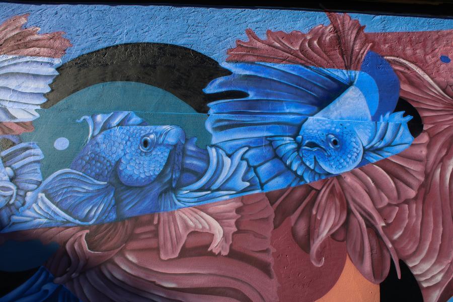 Fresques et murs peints - Les poissons bleus de Supa Smoka_Nantua