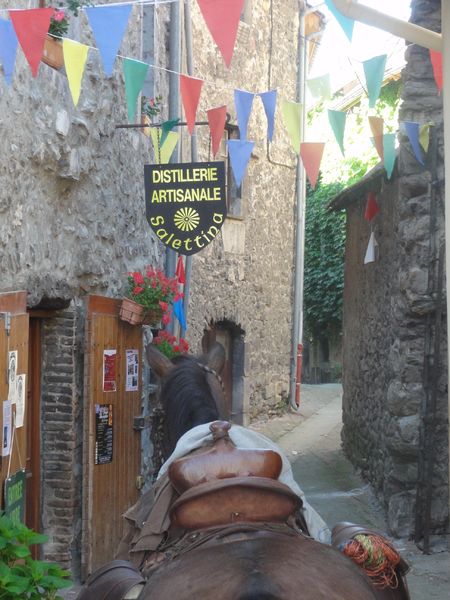 Découverte des alpages du sud-Isère à cheval