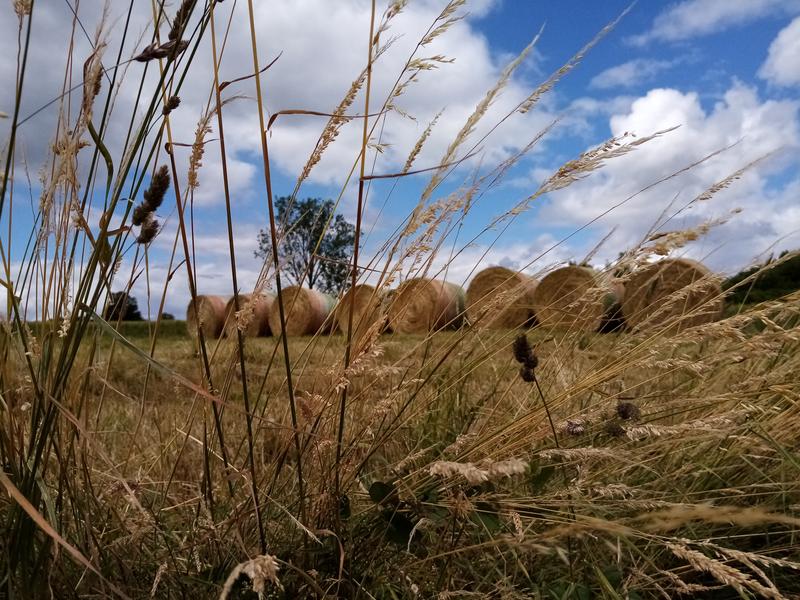 Annoisin-Chatelans - Balcons du Dauphiné - Nord-Isère - à moins d'une heure de Lyon