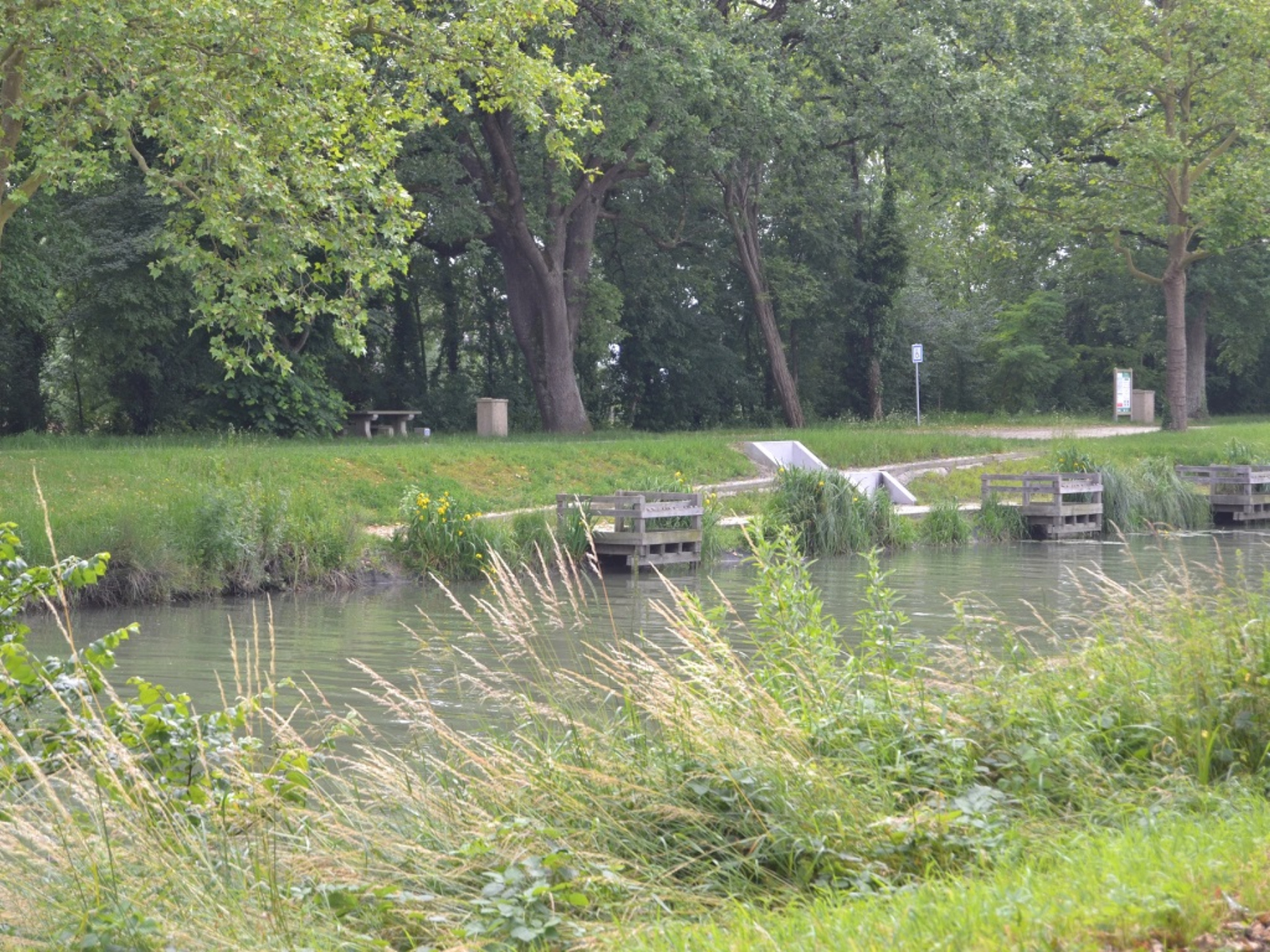 Parcours pêche de la carpe de nuit - Canal de dérivation de la Sèvre Niortaise