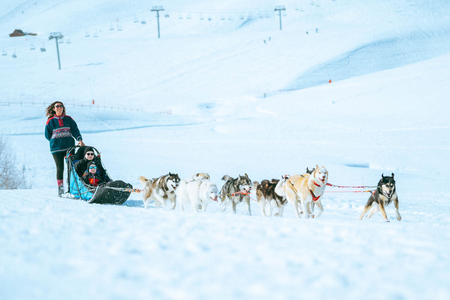 Rit met de hondenslee met White Forest_La Toussuire