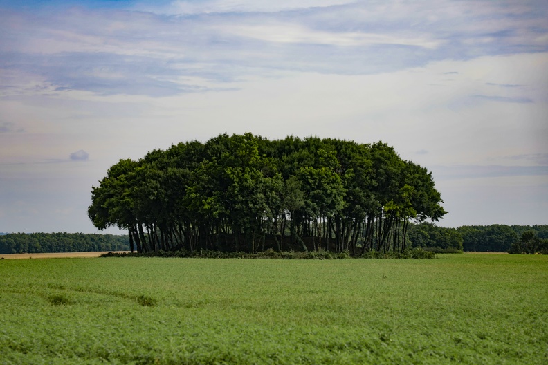 Mégalithes "Le Gros Dognon"