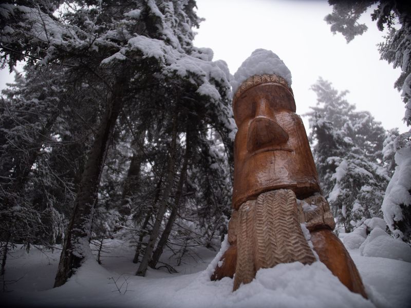 Aussois hiver sentier des sculptures dans la forêt du Monolithe