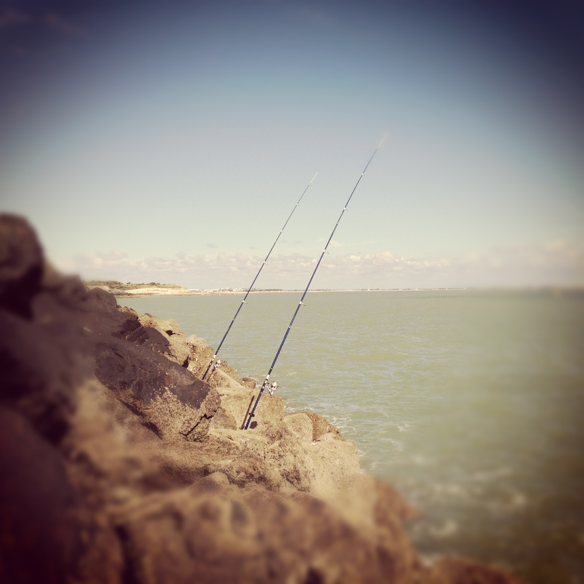 Loubine Club de la Presqu'île d'Arvert (LCPA)