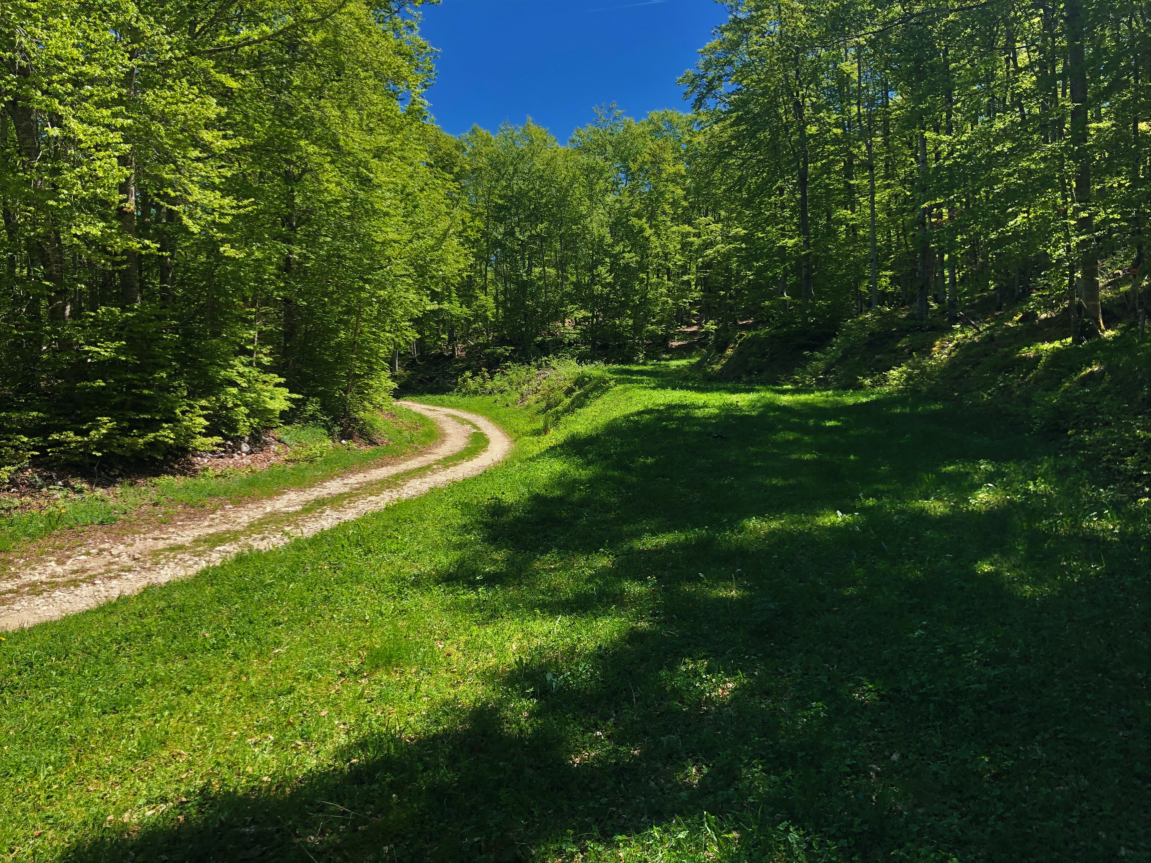 Parcours VTTAE 13 rouge - Le sud du Plateau de Retord - Espace FFC Ain Forestire