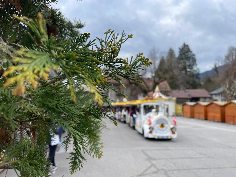 Septitrain : circuits commentés à bord du petit train de Samoëns_Samoëns