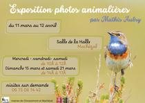 Exposition photos_Machézal