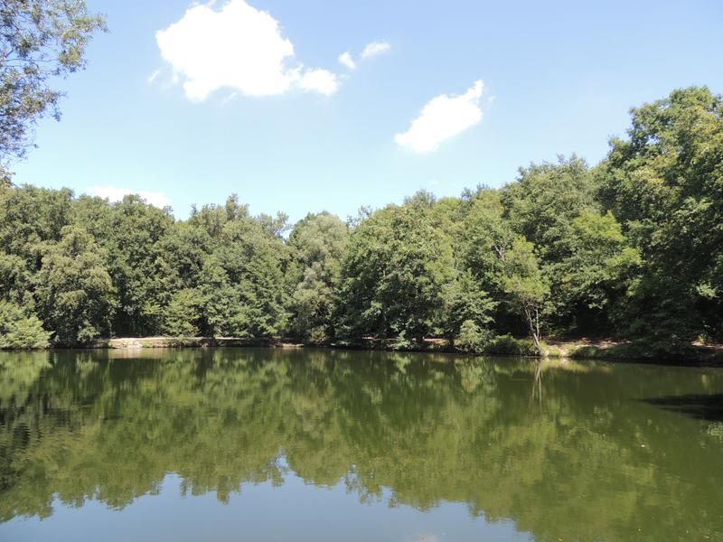 En cheminant vers l'Aqueduc du Gier - Monts du Lyonnais - Chaponost_Chaponost