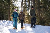 Itinerary for snowshoeing : Plan Bois_Sainte-Foy-Tarentaise
