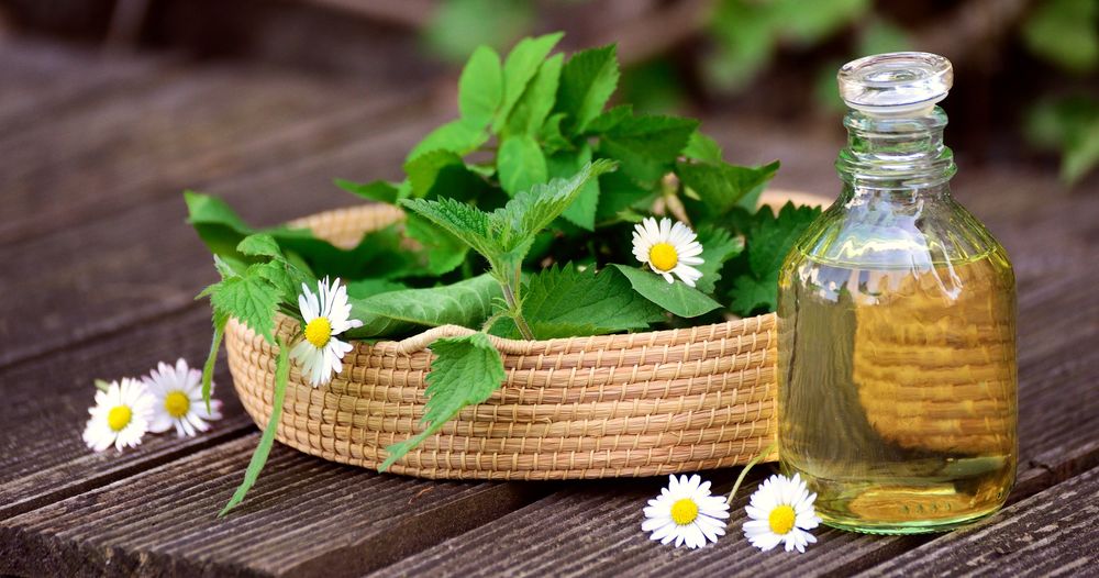 L'abbaye d'Ambronay : plantes médicinales & atelier philtre d'amour