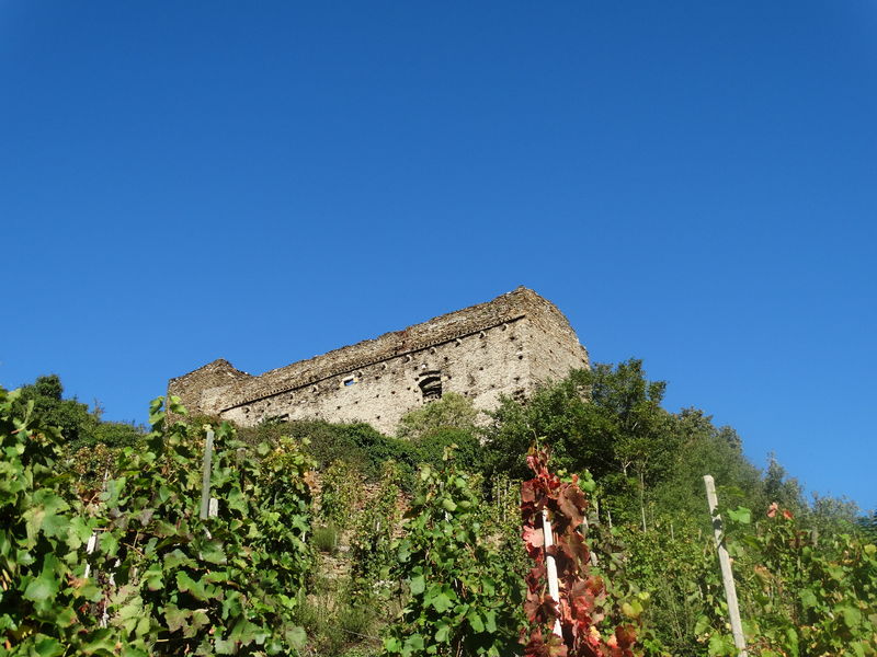 château des Archevêques